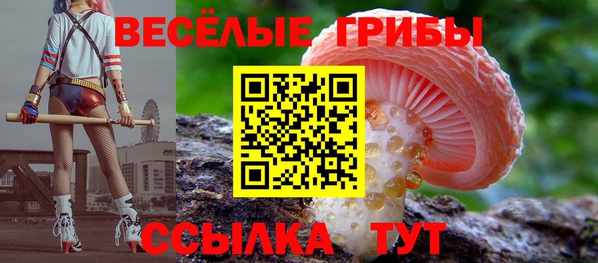 Галлюциногенные грибы Cubensis Фурманов
