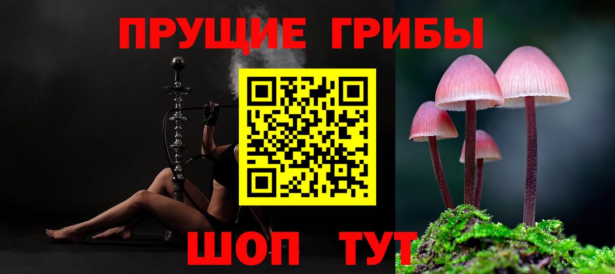 Фурманов  хочу   Вход с VPN  Псилоцибиновые грибы мицелий 